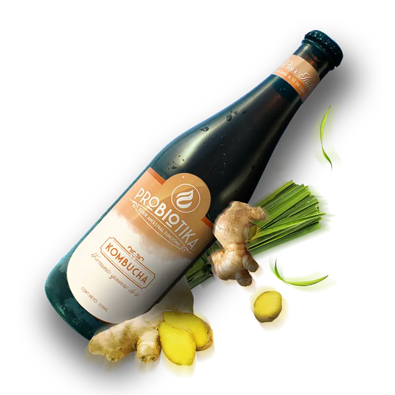 Kombucha Pisco Índico
